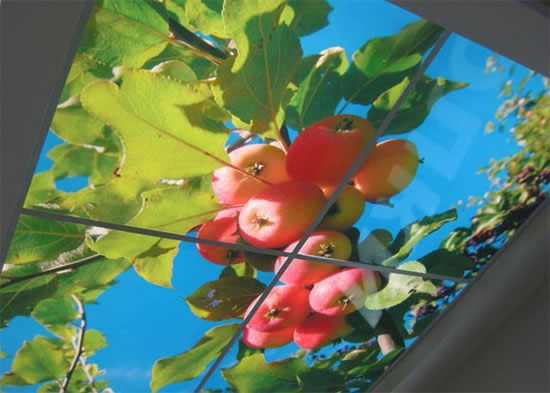 профиль для натяжных потолков