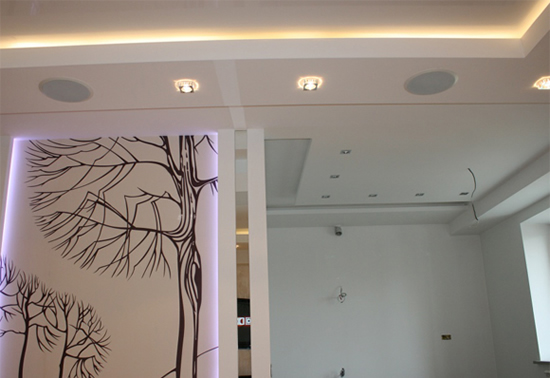 потолочные динамики встраиваемые в потолок