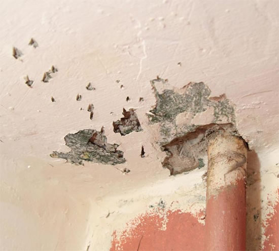 как окрасить потолк водоэмульсионной краской