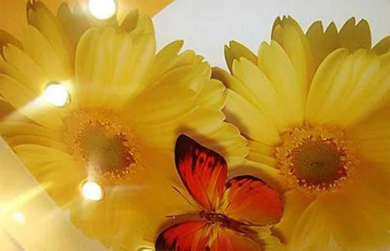 как монтируют натяжные потолки