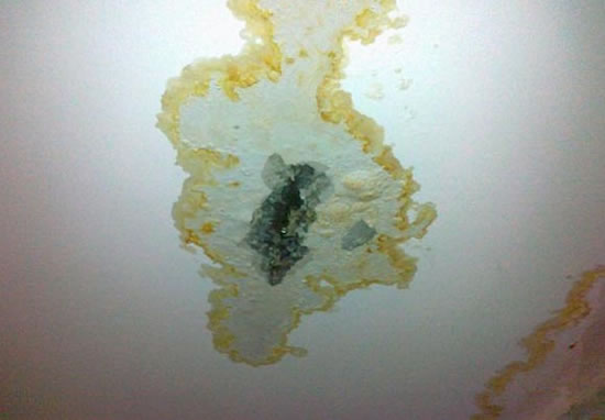 претензия течет крыша