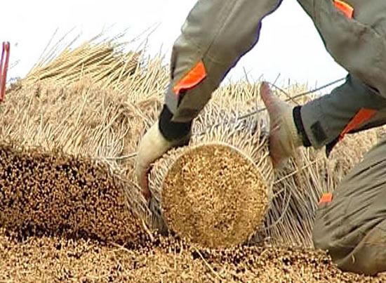 устройство крыши из камыша