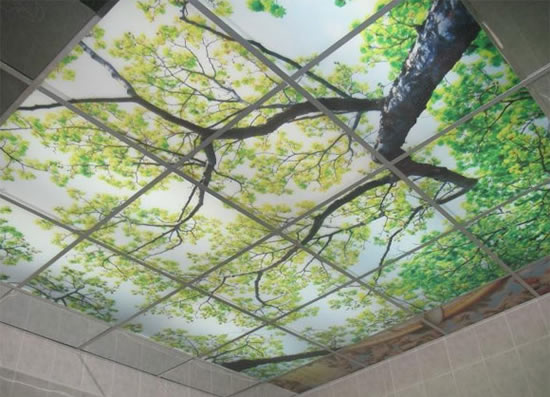 светопрозрачные потолки