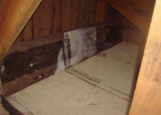 система утепление потолка в бани 