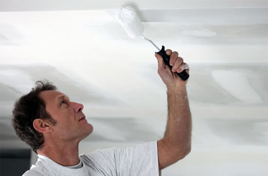 распылитель для побелки потолка