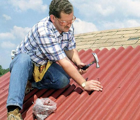 конек ондулин