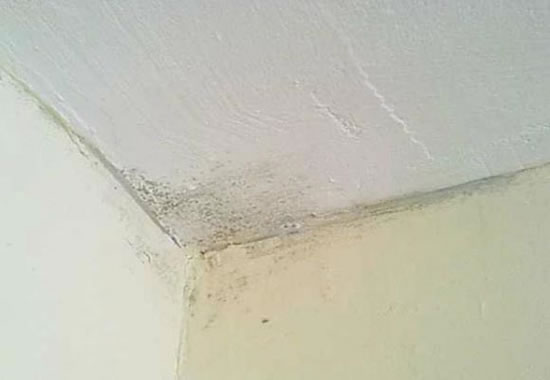 латексная краска для потолка недостатки