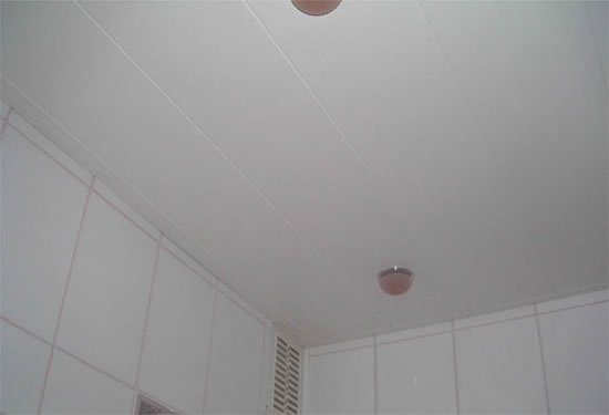 пластиковые подвесные потолки