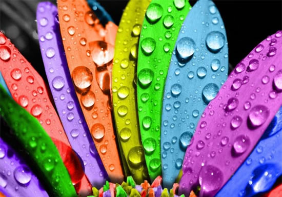 чем покрасить обои на потолке