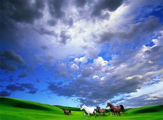 3d обои на потолок достоинства