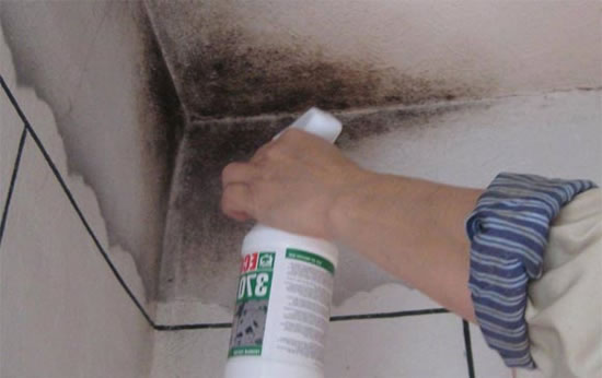 грибок на потолке